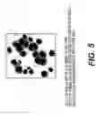 Fig. 06 - Method for facilitating the production of differentiated cell types and tissues from embryonic and adult pluripotent and multipotent cells