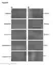 Fig. 02 - System for expanding and differentiating human embryonic stem cells