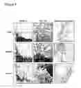 Fig. 03 - System for expanding and differentiating human embryonic stem cells