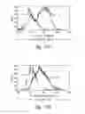 Fig. 20 - Activation and expansion of cells