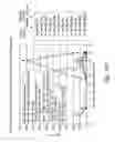 Fig. 23 - Activation and expansion of cells