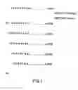 Fig. 02 - Method for detecting post-translational modification of peptides