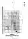 Fig. 07 - Optimal bank height for inkjet printing