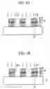 Fig. 02 - Method for manufacturing flash memory cell