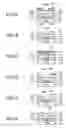 Fig. 02 - Semiconductor manufacturing method and semiconductor manufacturing apparatus