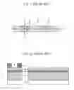 Fig. 02 - Method of forming interconnection lines in a semiconductor device