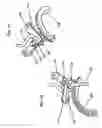 Fig. 14 - Continuously variable transmission