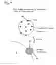 Fig. 07 - Exhaust gas decontamination system and method of controlling the same