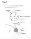 Fig. 08 - Exhaust gas decontamination system and method of controlling the same