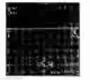 Fig. 01 - Photoresist cleaning solutions and methods for pattern formation using the same