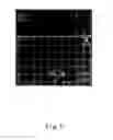 Fig. 02 - Photoresist cleaning solutions and methods for pattern formation using the same
