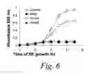 Fig. 09 - Methods and compositions for the treatment of infection