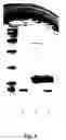 Fig. 02 - Bacteriocins and novel bacterial strains