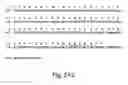 Fig. 48 - Vascular endothelial growth factor-x