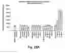 Fig. 55 - Vascular endothelial growth factor-x
