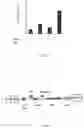 Fig. 02 - Compositions for inducing cell growth and differentiation and methods of using same