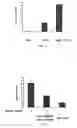 Fig. 04 - Compositions for inducing cell growth and differentiation and methods of using same