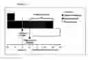 Fig. 02 - Therapeutical conversion