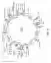 Fig. 06 - Artificial chromosomes, uses thereof and methods for preparing artificial chromosomes