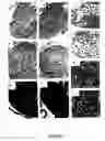 Fig. 09 - Methods for modulating the activity of MSH-5