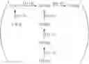 Fig. 07 - Use of compounds comprising a polysaccharide structure as biofertiliser and phytosanitary products