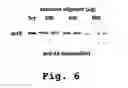 Fig. 07 - Compound and method for treating androgen-independent prostate cancer