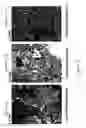 Fig. 07 - Method for using potassium channel activation for delivering a medicant to an abnormal brain region and/or a malignant tumor