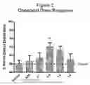 Fig. 03 - Compositions and methods of treatment using L-type calcium channel blockers and cholinesterase inhibitors