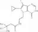 Fig. 104 - Pyrrolopyrimidine thion derivatives