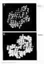 Fig. 05 - Nonnucleoside inhibitors of reverse transcriptase, composite binding pocket and methods for use thereof