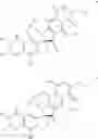 Fig. 05 - Fredericamycin derivatives