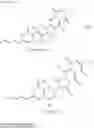 Fig. 11 - Fredericamycin derivatives