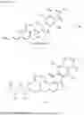 Fig. 13 - Fredericamycin derivatives