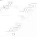 Fig. 17 - Fredericamycin derivatives