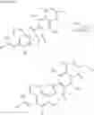 Fig. 20 - Fredericamycin derivatives