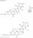 Fig. 22 - Fredericamycin derivatives