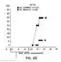 Fig. 08 - Methods to modulate conditions mediated by the CXCR4 receptor