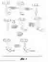 Fig. 02 - N-and O-substituted 4-[2-(diphenylmethoxy)-ethyl]-1-[(phenyl)methyl]piperidine analogs and methods of treating CNS disorders therewith