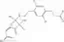 Fig. 02 - Pharmaceutical composition consisting of a beta-3-adrenoceptor agonist and alpha-agonist
