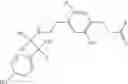 Fig. 26 - Pharmaceutical composition consisting of a beta-3-adrenoceptor agonist and alpha-agonist