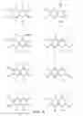 Fig. 05 - Compound
