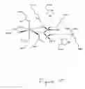 Fig. 12 - Compound