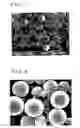 Fig. 05 - Composite material and method of manufacturing the same