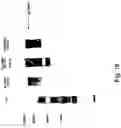 Fig. 35 - Novel co-stimulatory molecules