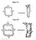 Fig. 07 - Bridged macrocyclic module compositions