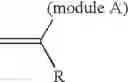 Fig. 124 - Bridged macrocyclic module compositions