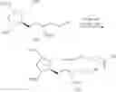 Fig. 167 - Prostaglandin synthesis
