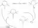 Fig. 02 - Process for the separation of organic hydroxylamine and nitrosonium compounds and its use in the oxidation of hydroxy compounds