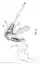 Fig. 48 - Sew-right running stitch instrument