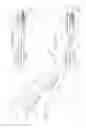 Fig. 46 - Running stitch suturing device